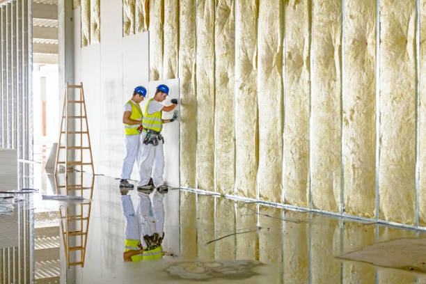 Best Reflective Insulation  in Huxley, IA